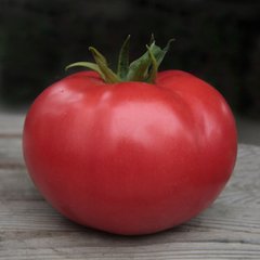 Насіння томату (помідора) Кібо F1