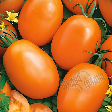 Насіння томату (помідора) Де Барао помаранчевий, 0,1 г
