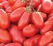 Насіння томату (помідора) UG 29814 F1