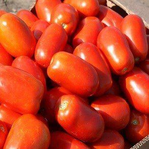 Насіння томату (помідора) Класік F1, 50 шт