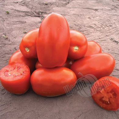 Семена томата (помидора) Классик F1