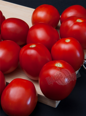 Насіння томату (помідора) Баста F1, 1000 шт