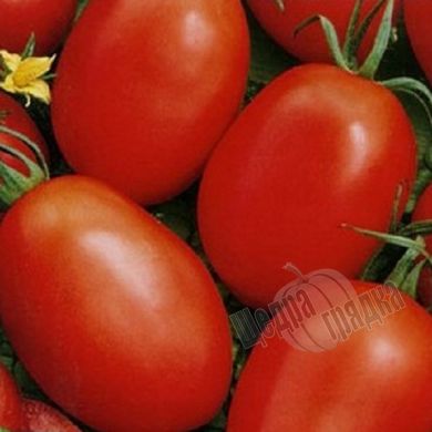 Насіння томату (помідора) Кармен F1