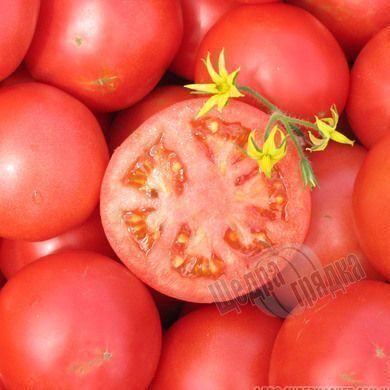 Семена томата (помидора) Тропикал Джем F1