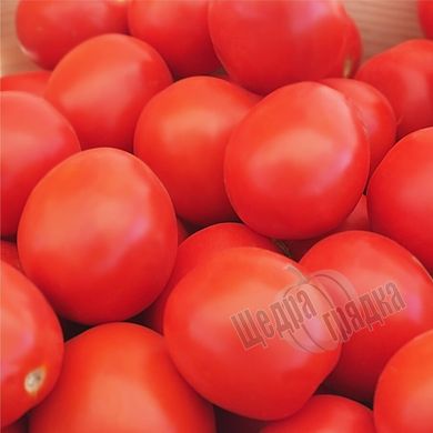 Семена томата (помидора) Баста F1, 1000 шт