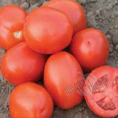 Семена томата (помидора) Кармен F1