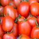 Насіння томату (помідора) Баста F1