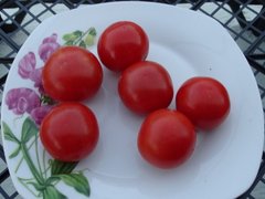 Насіння томату (помідора) Капело F1