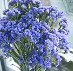 Насіння квітів статиці Блакитний обрій, 10 г, блакитний