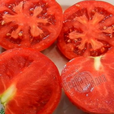 Семена томата (помидора) Беллфорт F1