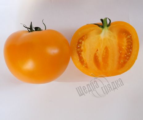 Насіння томату (помідора) Ямамото F1 (KS 10)