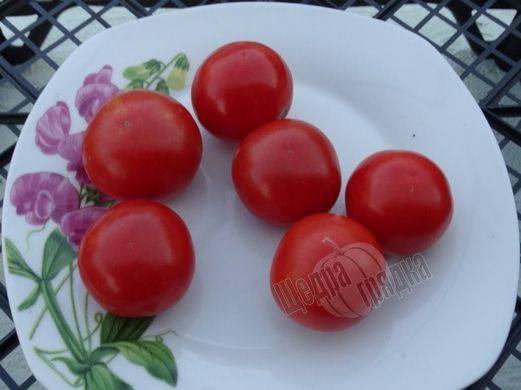 Насіння томату (помідора) Капело F1