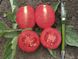 Насіння томату (помідора) Стелла Ред F1