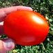 Насіння томату (помідора) Ліона F1