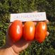 Насіння томату (помідора) Калмарзано F1