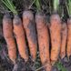 Семена моркови Фиго F1 (2,2 - 2,4 мм), 1 г.