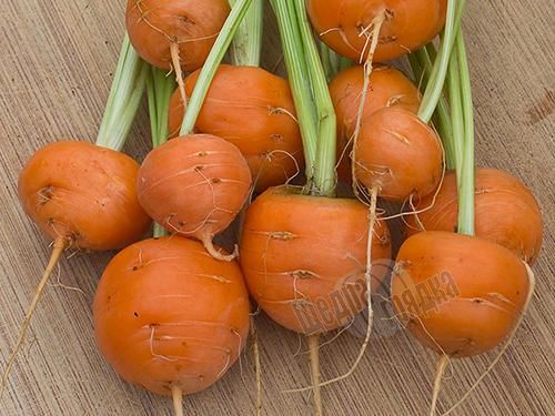 Насіння моркви Паризький ринок
