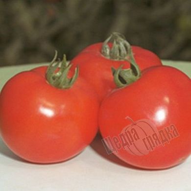 Семена томата (помидора) Полфаст F1, 1000 шт