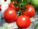 Семена томата (помидора) Полфаст F1