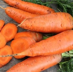 Семена моркови Кантербьюри F1, 100000 шт.