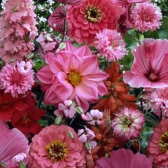 Семена цветочной смеси Розовый рассвет, 30 г