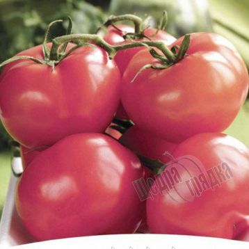 Семена томата (помидора) Пинк Топ F1, 8 шт