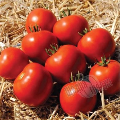 Семена томата (помидора) Мамако F1, 10 шт