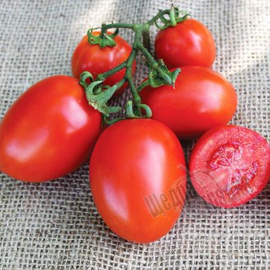 Семена томата (помидора) Бриксол F1