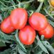 Семена томата (помидора) Бриксол F1