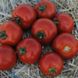 Насіння томату (помідора) Мамако F1, 10 шт