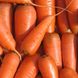 Семена моркови Каротель