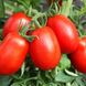 Семена томата (помидора) Бриксол F1, 10 000 шт.