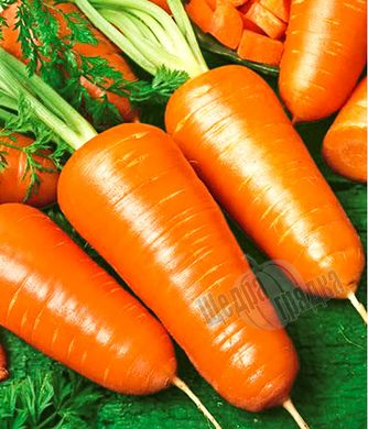 Семена моркови Роял Шансон