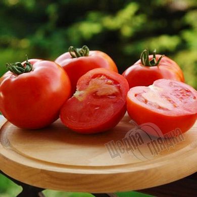 Насіння томату (помідора) Таня F1, 10 шт