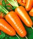 Семена моркови Роял Шансон