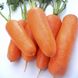 Насіння моркви Роял Шансон