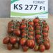 Семена томата (помидора) KS 277 F1