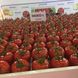 Насіння томату (помідора) Маско F1