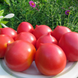 Семена томата (помидора) Исла-Гранде F1, 250 шт