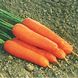 Насіння моркви Нантес Скарлет F1