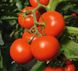 Насіння томату (помідора) Тойво F1
