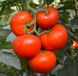Семена томата (помидора) Тойво F1