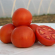 Насіння томату (помідора) Шеді Леді F1, 20 шт