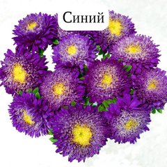 Насіння квітів айстри Шанхайська Троянда (Satimex), 1 г., синій