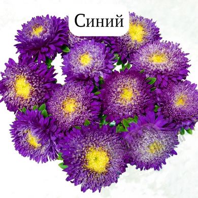 Семена цветов астры Шанхайская Роза (Satimex), 1 г., синий