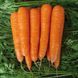 Семена моркови Матч F1