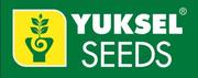Yuksel Seeds