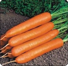 Семена моркови Байон F1, 5000 шт