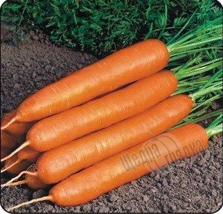 Семена моркови Байон F1