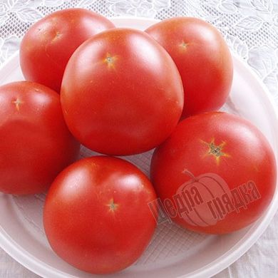 Насіння томату (помідора) Лорелі F1